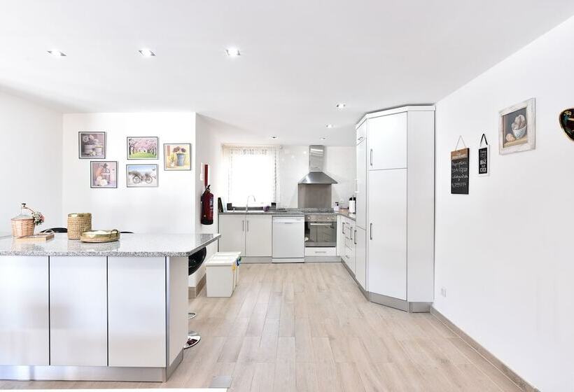 Feel Discovery Douro Janja