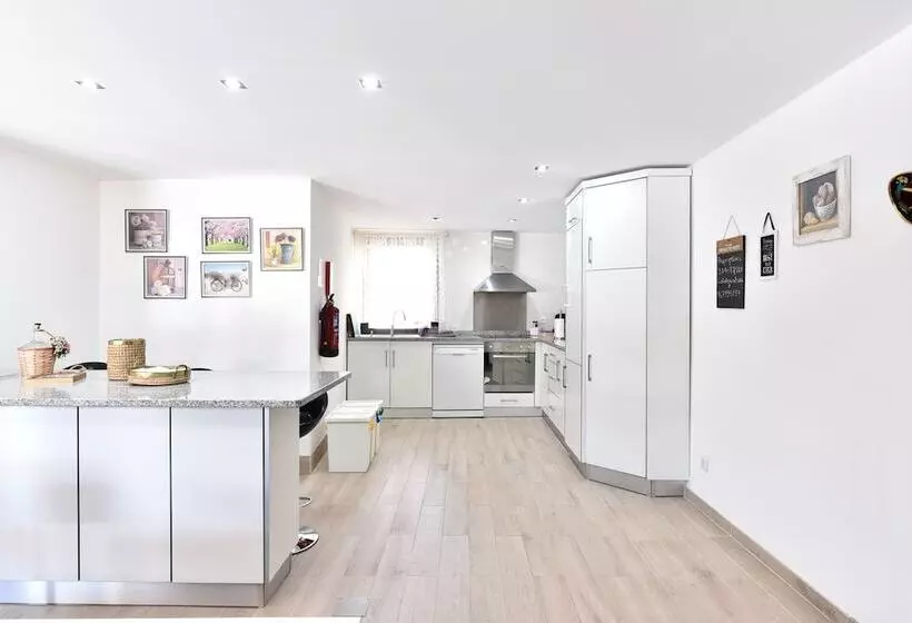 Feel Discovery Douro Janja