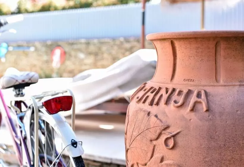 Feel Discovery Douro Janja