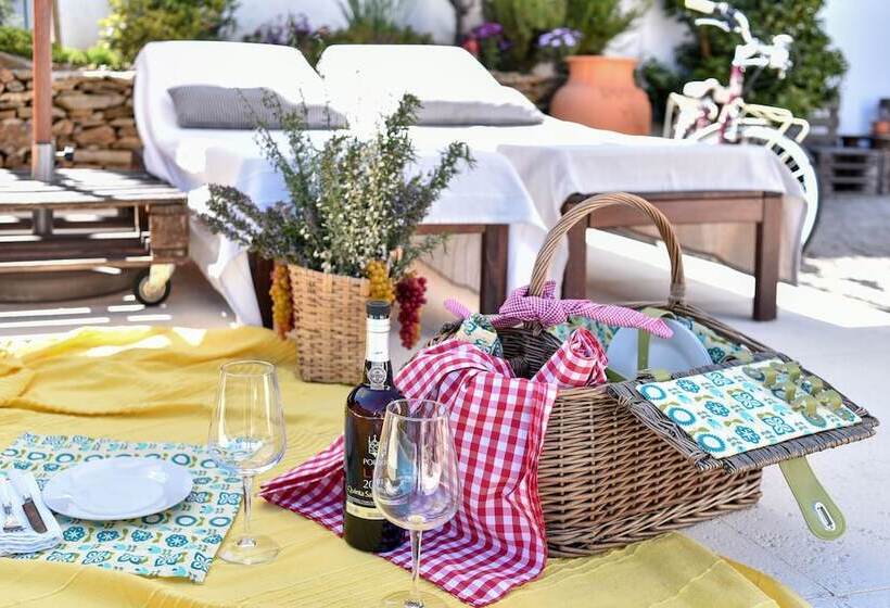 Feel Discovery Douro Janja