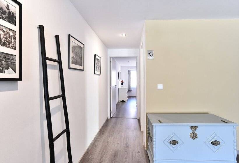 Feel Discovery Douro Janja