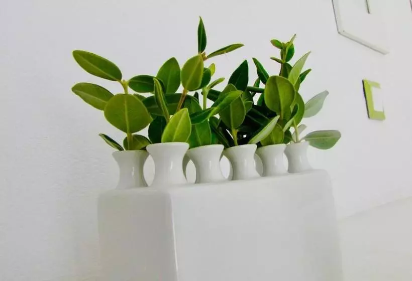 Pensione Elmarel Villas