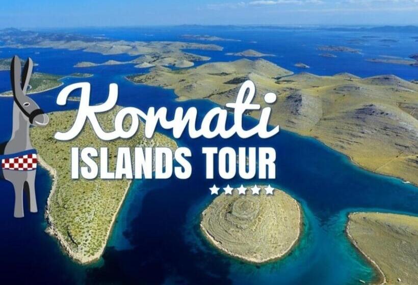 ペンション The Nice Dreams Studio Apartment