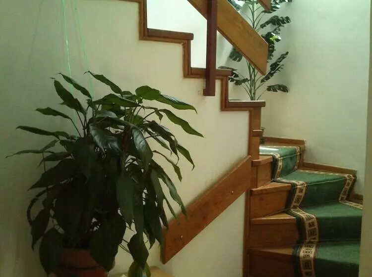 Apartments Villa Velin