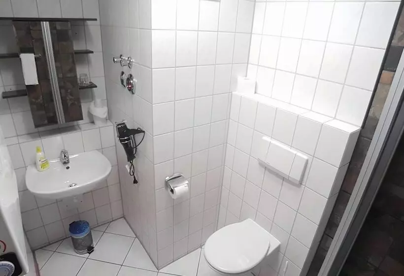 Majatalo Boardinghouse Sinsheim Zentral Am Burgplatz