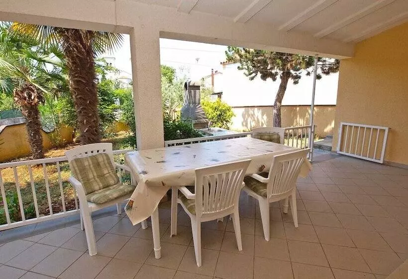Apartment Rov 894