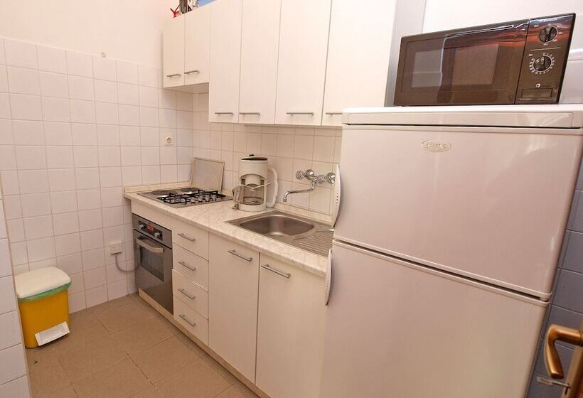 Apartment Rov 894
