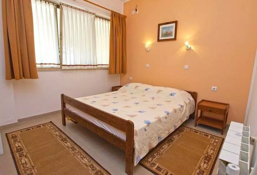 Apartment Rov 894
