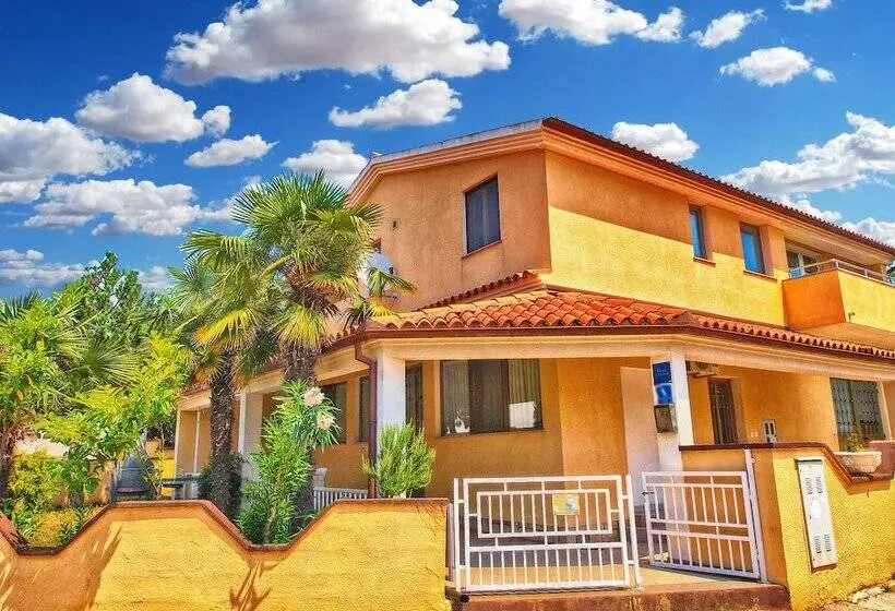 Apartment Rov 894