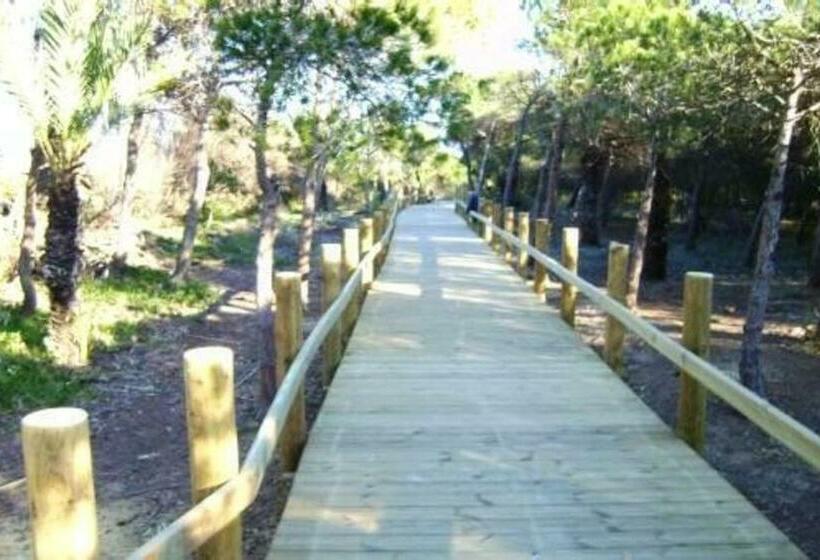 3 Bedrooms Apartement With Sea View Shared Pool And Enclosed Garden At Guardamar Del Segura 4 Km Awa