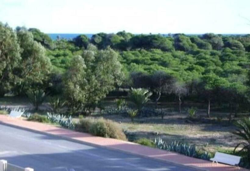 3 Bedrooms Apartement With Sea View Shared Pool And Enclosed Garden At Guardamar Del Segura 4 Km Awa