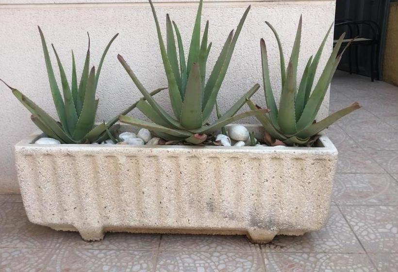 Beautiful Villa In Murcia With Pool Just 10m Away