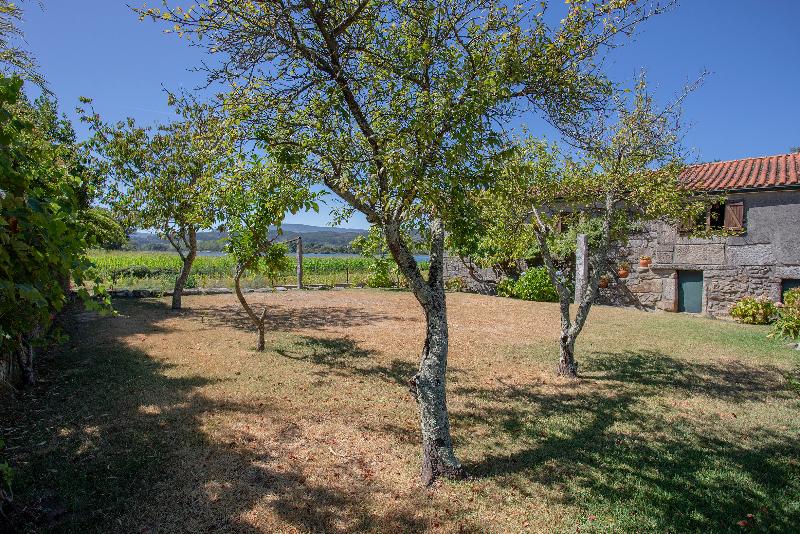 Liiiving Caminha Riverfront Garden Villa