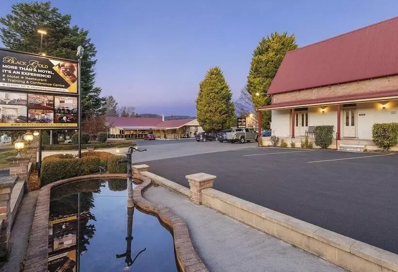 Black Gold Motel