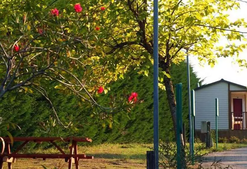 Hotelli Camping Maceira