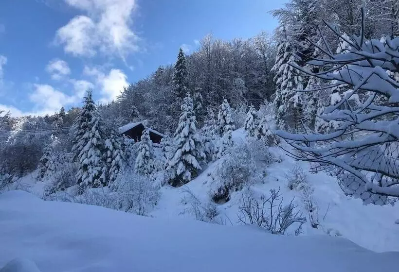 Wildromantisches Appartement Am Bachlauf