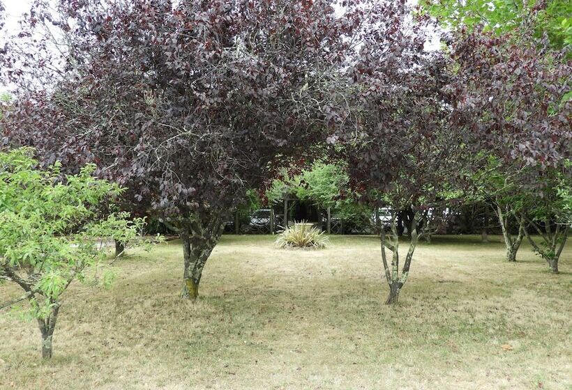 فندق Somerset Caravan Park