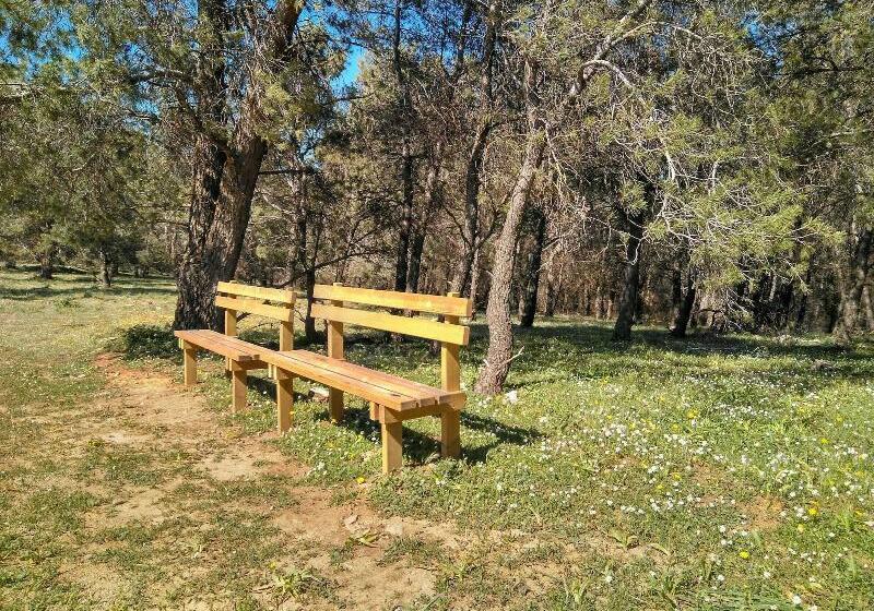 Magina Dream La Guardia