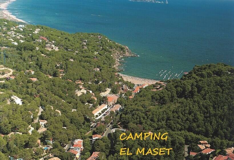 Отель Camping El Maset
