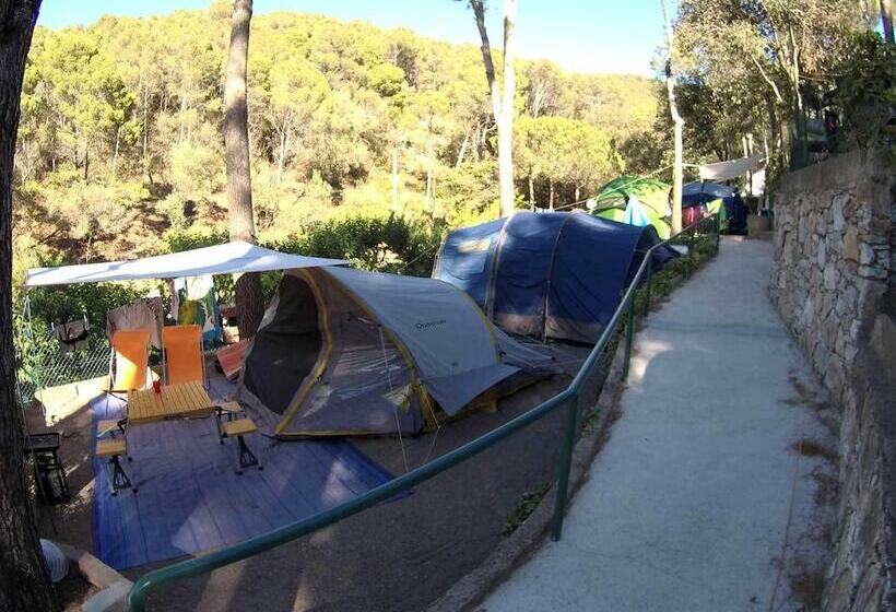 Отель Camping El Maset