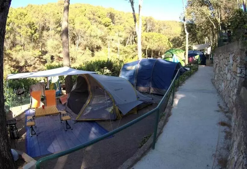 ホテル Camping El Maset