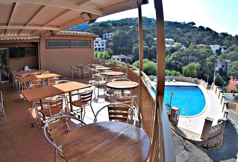 Отель Camping El Maset