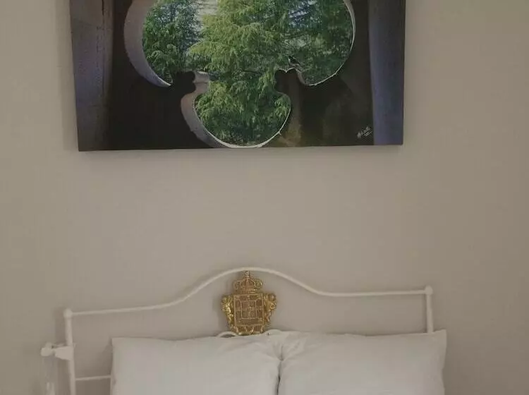 Casas Do Castelo De Lamego