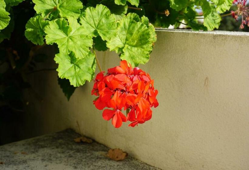 !your Home In Madeira