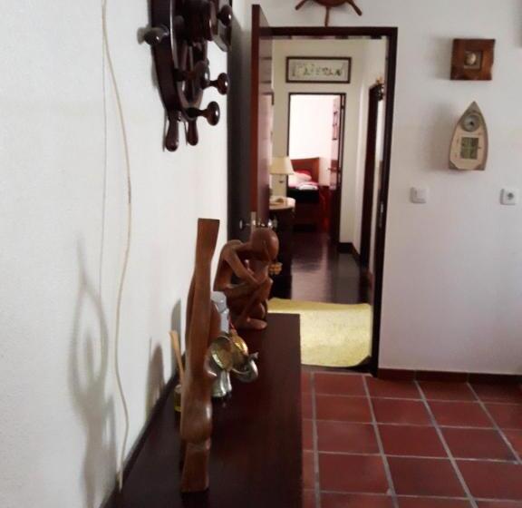 Spacious House In Encarnacao With Garden & Terrace