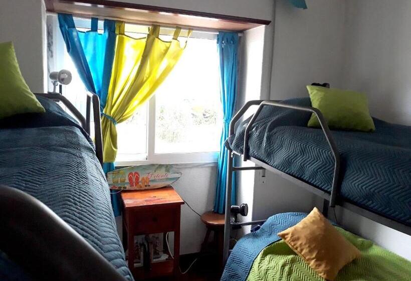 Spacious House In Encarnacao With Garden & Terrace