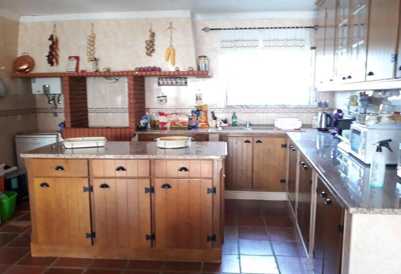 Spacious House In Encarnacao With Garden & Terrace