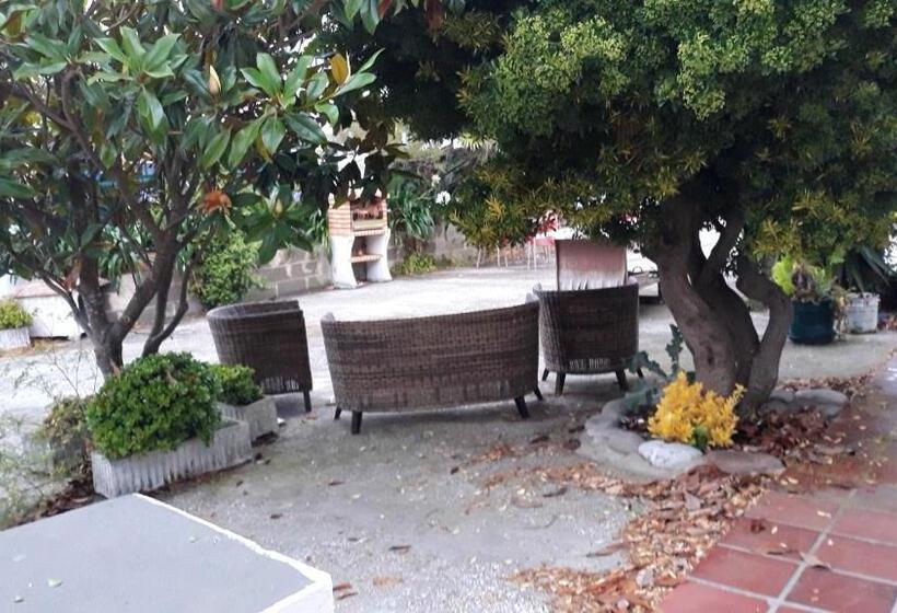 Spacious House In Encarnacao With Garden & Terrace