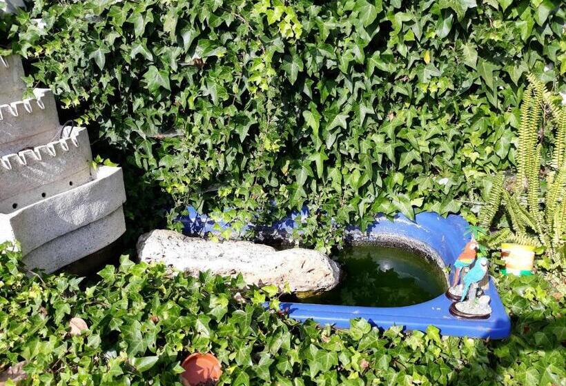 Spacious House In Encarnacao With Garden & Terrace