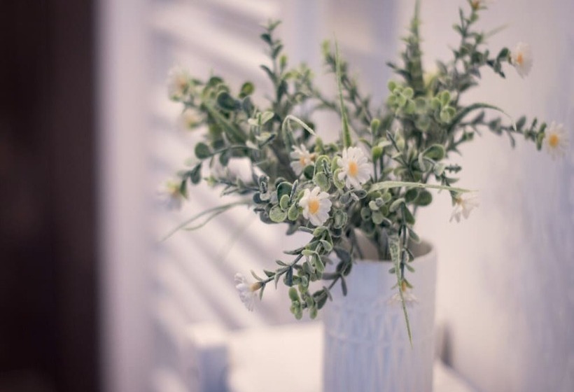 Apartment Senftenberg   1907