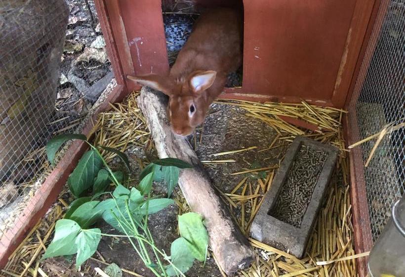 مبيت وإفطار La Fresnaie : Chambres ,table D'hôtes & Spa