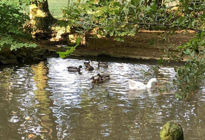 مبيت وإفطار La Fresnaie : Chambres ,table D'hôtes & Spa