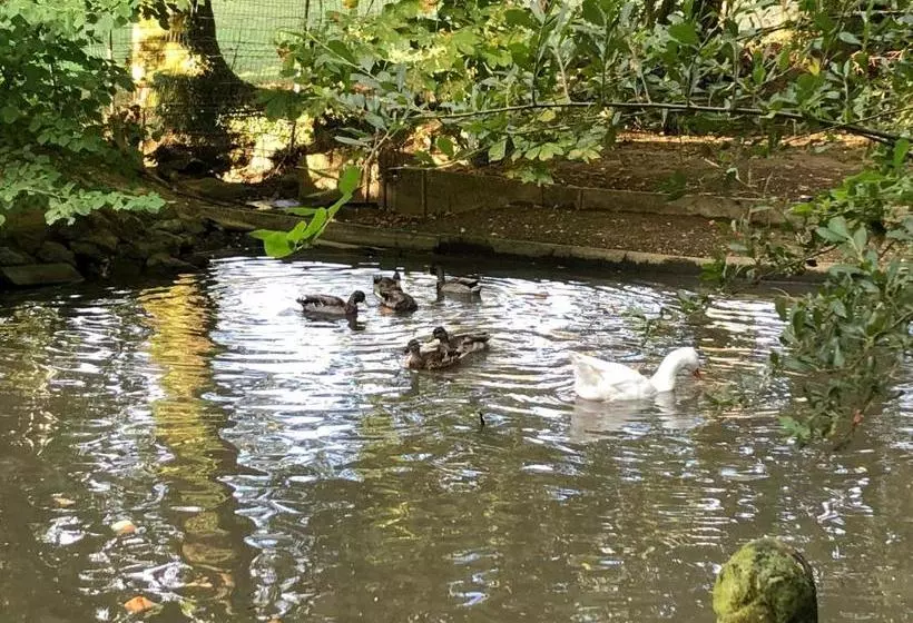 ベッドアンドブレックファースト La Fresnaie : Chambres ,table D'hôtes & Spa