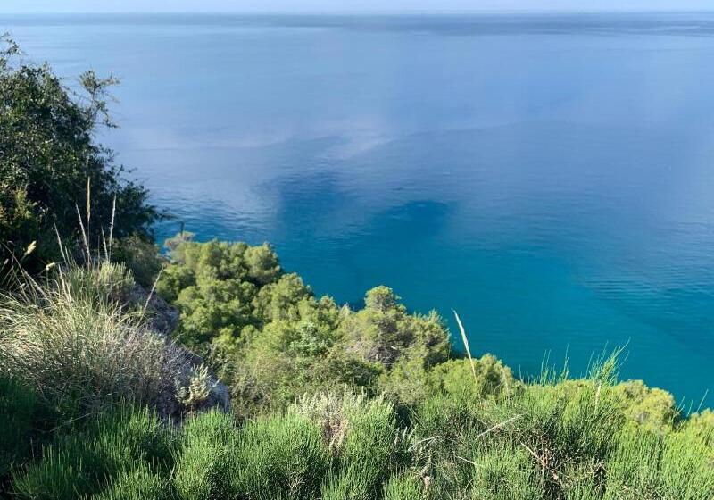 Pensionat Nerjarooms