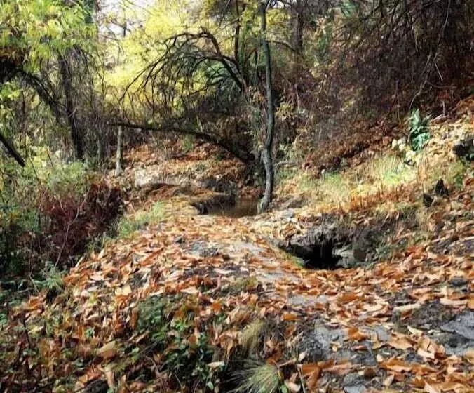 Apartamentos Balcón Del Cielo