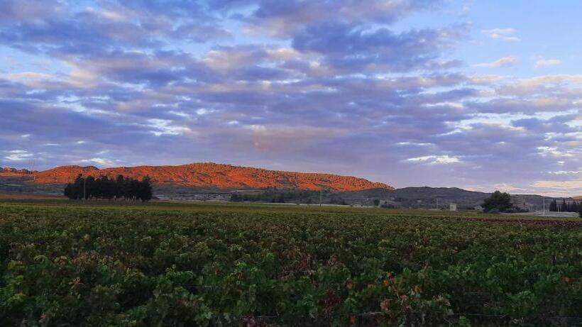 مبيت وإفطار Le Coq Du Nord Mailhac Gîte Et Chambres D Hôtes