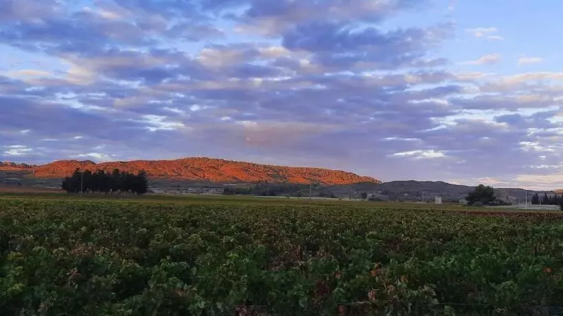 ベッドアンドブレックファースト Le Coq Du Nord   Mailhac Gîte Et Chambres D Hôtes