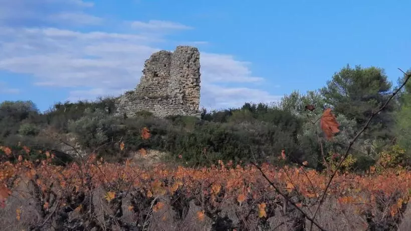 ベッドアンドブレックファースト Le Coq Du Nord   Mailhac Gîte Et Chambres D Hôtes