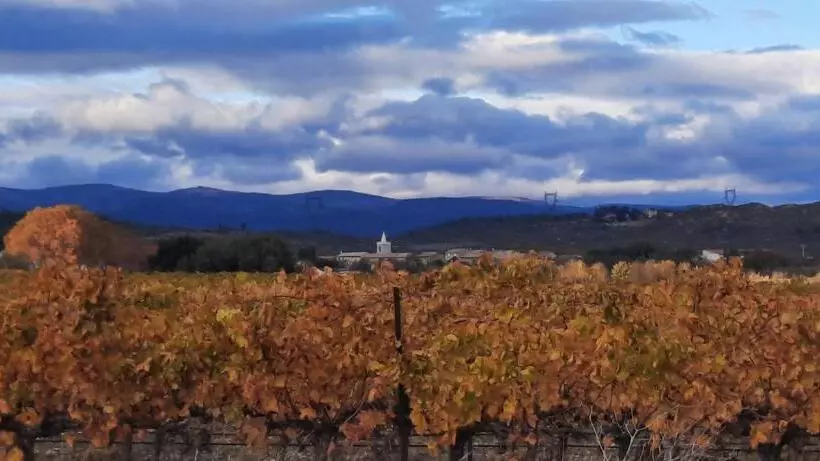 ベッドアンドブレックファースト Le Coq Du Nord   Mailhac Gîte Et Chambres D Hôtes