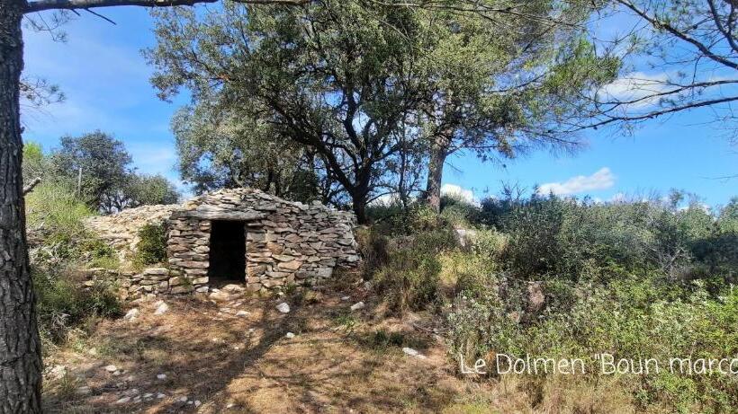 مبيت وإفطار Le Coq Du Nord Mailhac Gîte Et Chambres D Hôtes