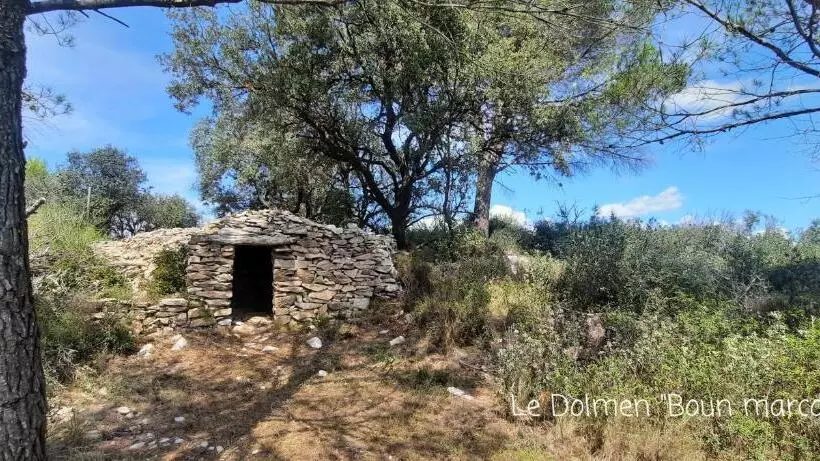 ベッドアンドブレックファースト Le Coq Du Nord   Mailhac Gîte Et Chambres D Hôtes