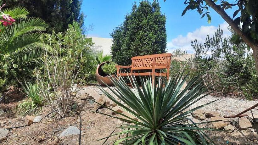 مبيت وإفطار Le Coq Du Nord Mailhac Gîte Et Chambres D Hôtes