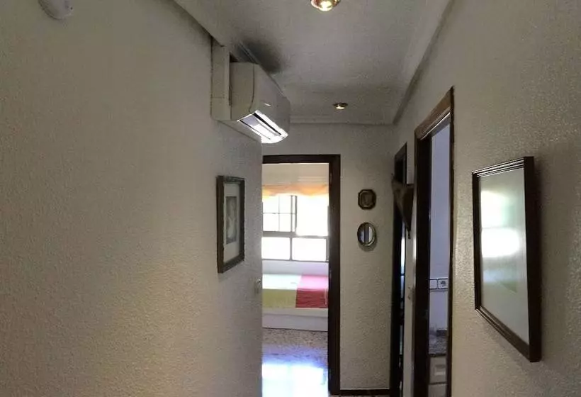 Apartamento Centro De Elche