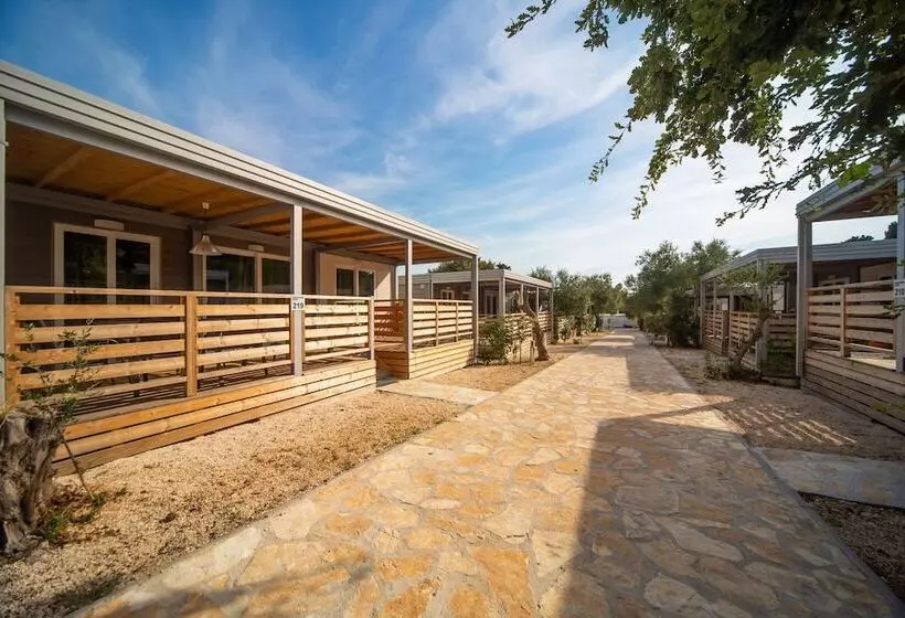 ホテル Mediteran Kamp Mobile Homes In Camping Ljutic
