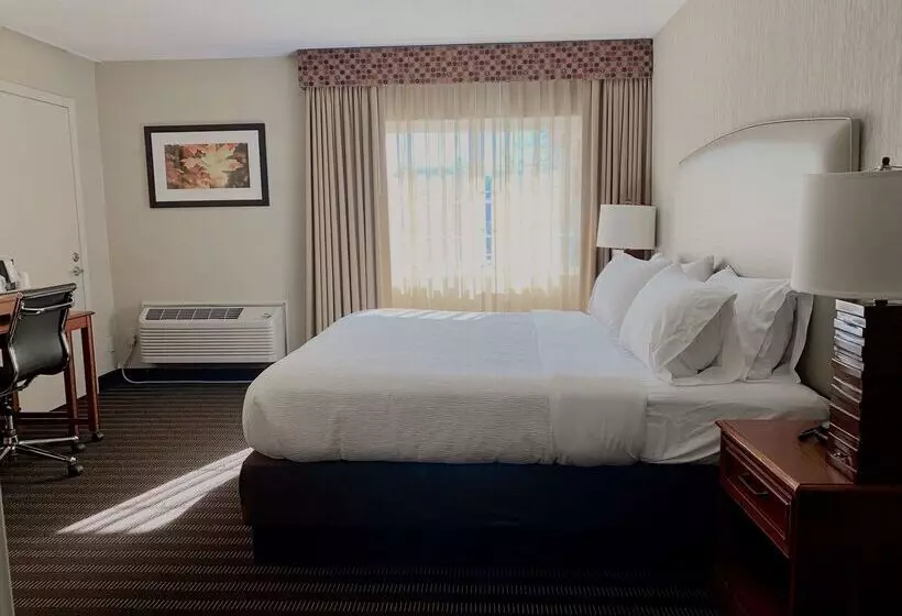 בית מלון כפרי Best Western Springfield