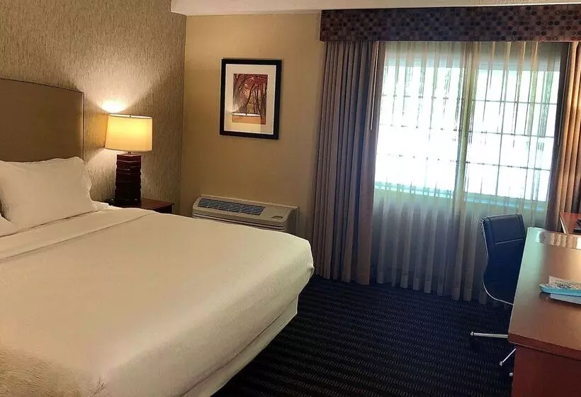 בית מלון כפרי Best Western Springfield